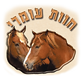 לוגו.png