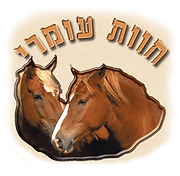 לוגו.png